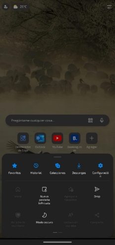 microsoft-edge-android-2